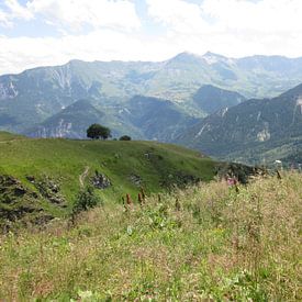 Berglandschap Franse Alpen , groen rustgevend van Sander van der Lem