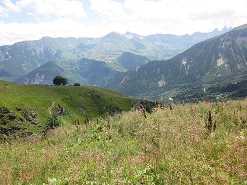 Berglandschap Franse Alpen , groen rustgevend