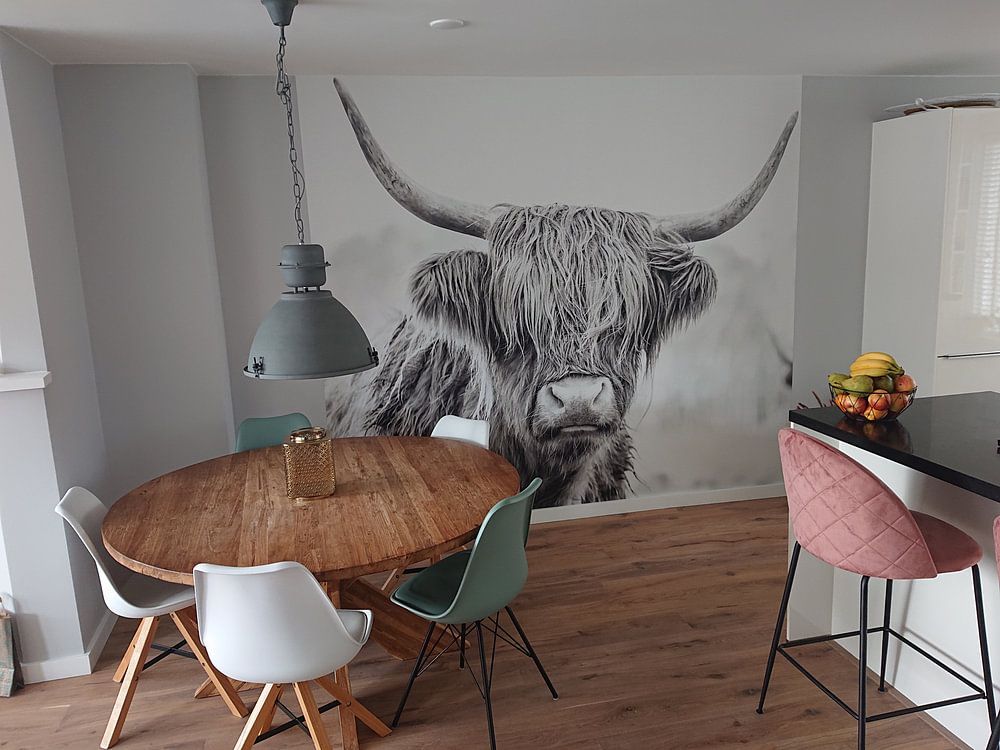 Scottish Highlanders dans la réserve naturelle de Jiltdijksheide (noir et blanc) par Martijn van Dellen