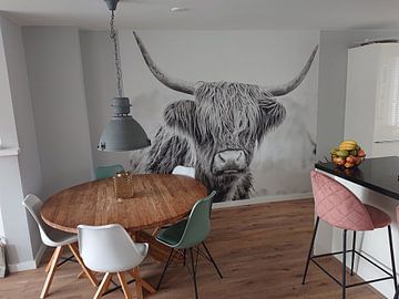 Klantfoto: Schotse Hooglanders in natuurgebied Jiltdijksheide (zwart/wit) van Martijn van Dellen