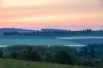 Nederlands heuvellanschap tijdens zonsopgang met een prachtige zicht op de typische populieren bomen van Kim Willems