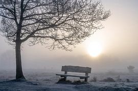 Leersum field part 10