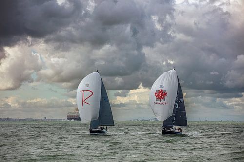 Zeilen op de Westerschelde