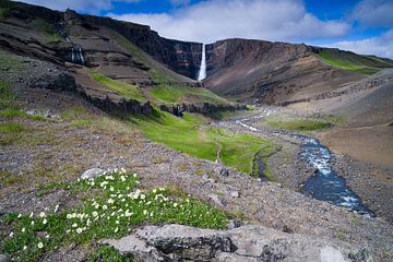 Hengifoss, IJsland van Joep de Groot