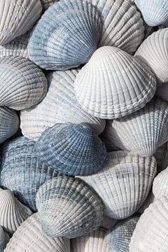 Schelpen wit, grijs en blauw (verticaal) van Marjolijn van den Berg