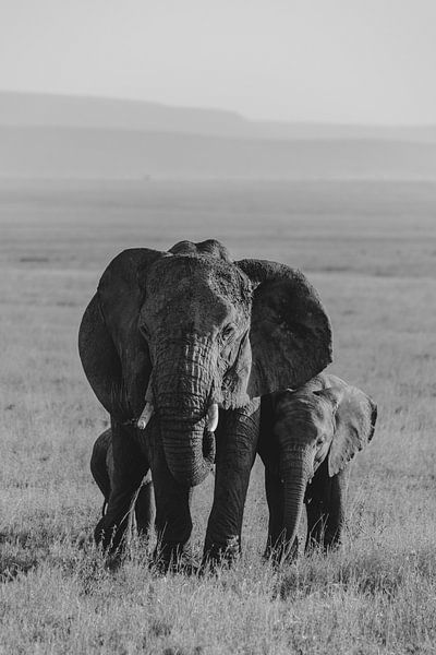 Elephant family | Travel photography Tanzania | Wall art | Wanderlust | Fine art print by Alblasfotografie