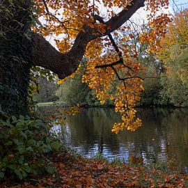 Doorkijkje in de herfst