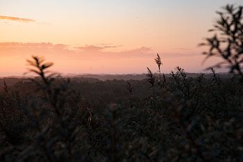 atmosferisch perspectief