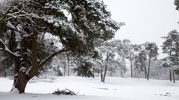 Niederländische Schneelandschaft, verschneiter Wald, Winterlandschaft von Martijn Schrijver