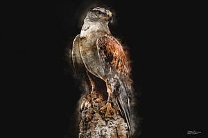 Digitale Kunst / Aquarell eines Adlers auf einem Felsen von Gelissen Artworks