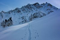 Piste dans la neige