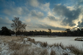 Duuvels Kuul im Schnee von Johannes Jongsma