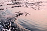 waves 1
