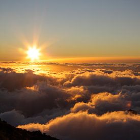 Madeira - Sunrise over clouds by Tobias Majewski