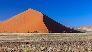 Dune 45 en Namibie sur Tilo Grellmann
