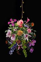 Flowers in hanging basket