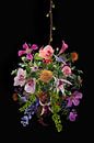 Flowers in hanging basket by Klaartje Majoor thumbnail