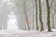 Sneeuw in het Bos van Heiloo van Mireille Breen thumbnail