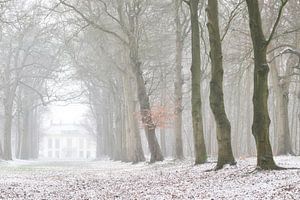 Sneeuw in het Bos van Heiloo van Mireille Breen