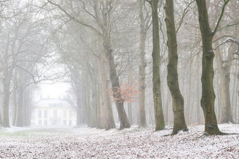 Sneeuw in het Bos van Heiloo van Mireille Breen