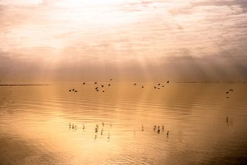Ijsselmeer Niederlande von Marc Hollenberg