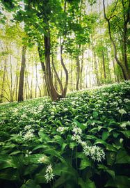 Pretty & delicious by Loris Photography