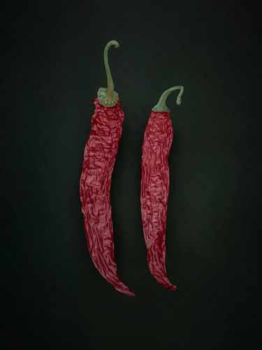 Stilleven dan gedroogde pepers