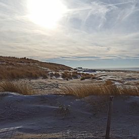 At the beach.  von Il se