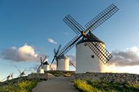 Historische windmolens van Don Quichot, in La Mancha (Spanje).