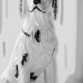 Dog in Black and White von e-STER design