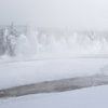 Sneeuw landschap  Yellowstone van Andius Teijgeler