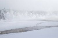 Sneeuw landschap  Yellowstone