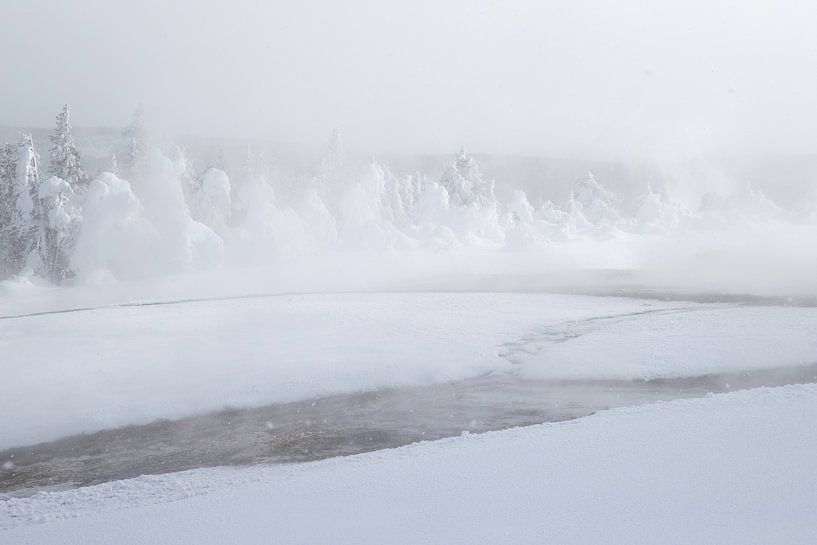 Sneeuw landschap  Yellowstone van Andius Teijgeler