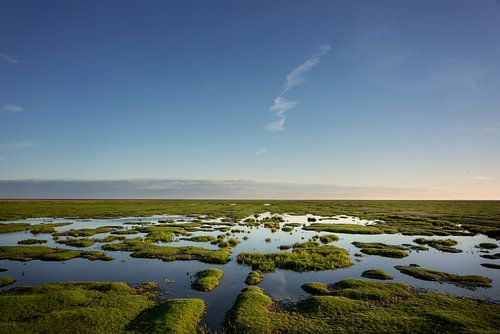 Horizon van Kwelder landschap Groningen