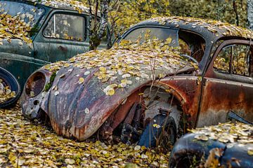 Roestige erfenissen in het bos - autokerkhof in Zweden van Gentleman of Decay