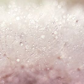 Funkelnde Diamanten von Hilde Remerie Fotografie und digitale Kunst