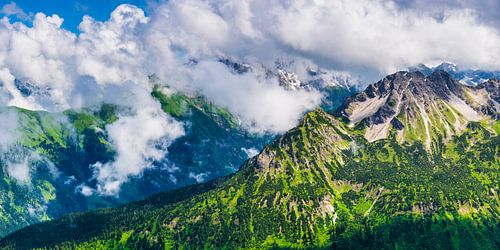 Allgäuer bergpanorama