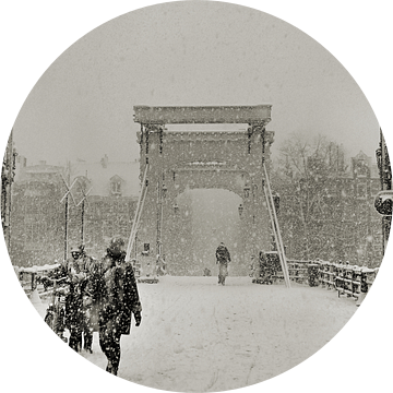 Magere brug in de sneeuw van Frank de Ridder