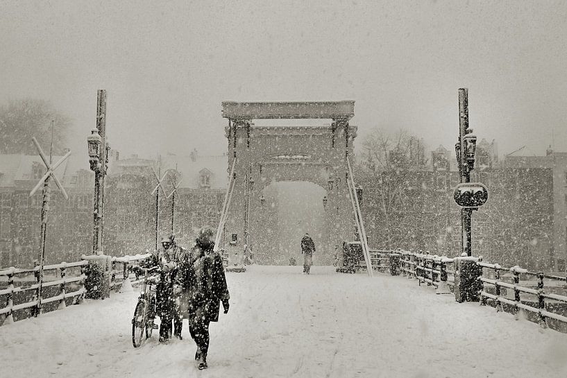 Magere brug in de sneeuw par Frank de Ridder