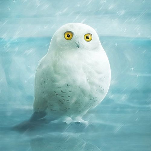 Snowball