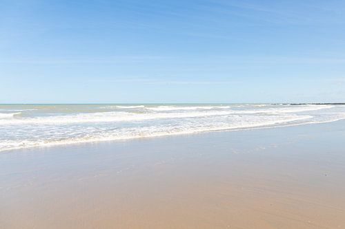 Beauty of the sea