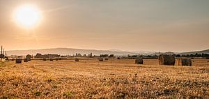Heuballen im Sonnenuntergang in der Toskana