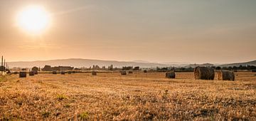 hay in tuscany by Erik van 't Hof