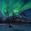 Een show van Noorderlicht boven de berg Otertinden in Noorwegen van Jos Pannekoek