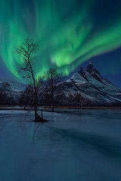 Een show van Noorderlicht boven de berg Otertinden in Noorwegen