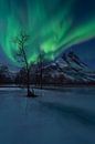 Nordlichtshow über dem Berg Otertinden in Norwegen von Jos Pannekoek Miniaturansicht