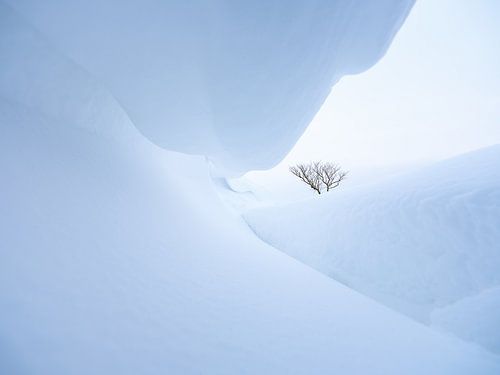 Sneeuwduinen vormen mooie abstracte vormen in het Nationaal Park Lauwersmeer. van Bas Meelker