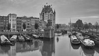 Wijnhaven Rotterdam met Witte Huis. van Ilya Korzelius thumbnail