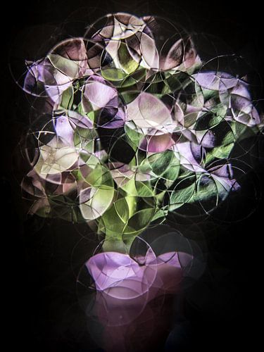 bouquet de fleurs violettes (nature morte abstraite)