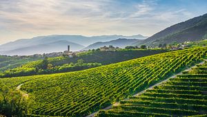 Prosecco-Hügel, Weinberge und das Dorf San Pietro di Barbozza